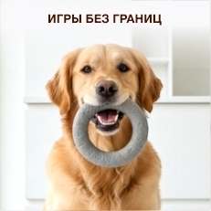 Игрушки для собак