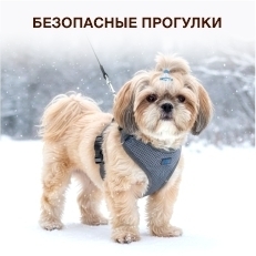 Амуниция для животных