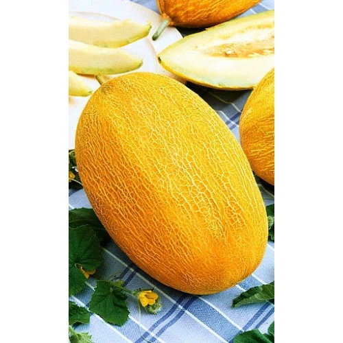 Семена Дыня Лада 0,5гр (Марс) Б/П