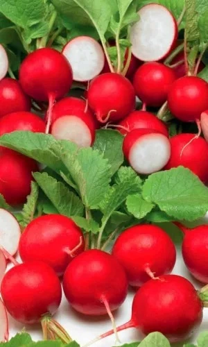 Семена Редис Ультраскороспелый 2 гр (УД) Е/П