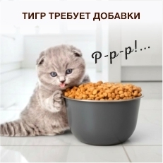 Кормление животных