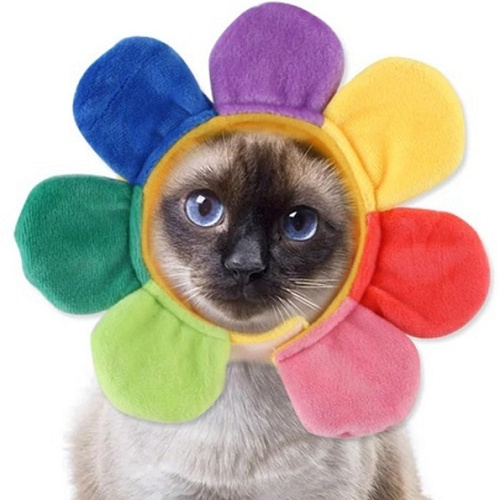 Шапка для собак и кошек Ромашка, цвет как на фото, р M_6