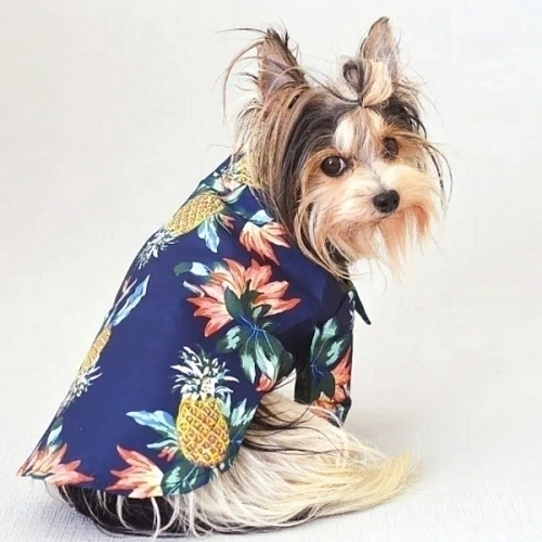 Рубашка для собак и кошек малых и средних пород СТИЛЬНЫЙ БРО, цвет синий, принт ананасы с цветами, размер M_8