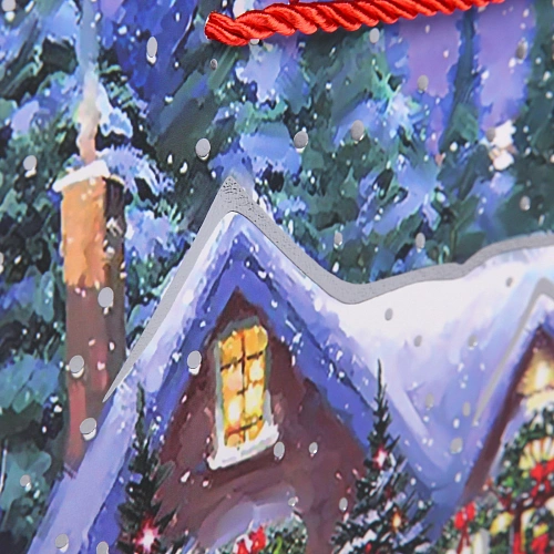 Пакет подарочный Лучшие друзья 314012 см, микс_8