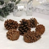 Композиция новогодняя "Волшебные шишки" (набор 6 шт) 8 см