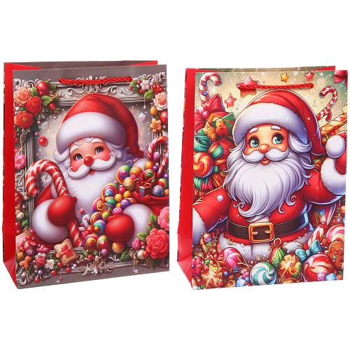 Пакет подарочный Санта 182485 см, микс_3