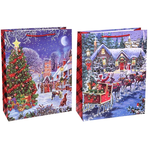 Пакет подарочный Лучшие друзья 314012 см, микс_4