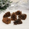 Композиция новогодняя "Шишки в лесу" (набор 6 шт) 12 см