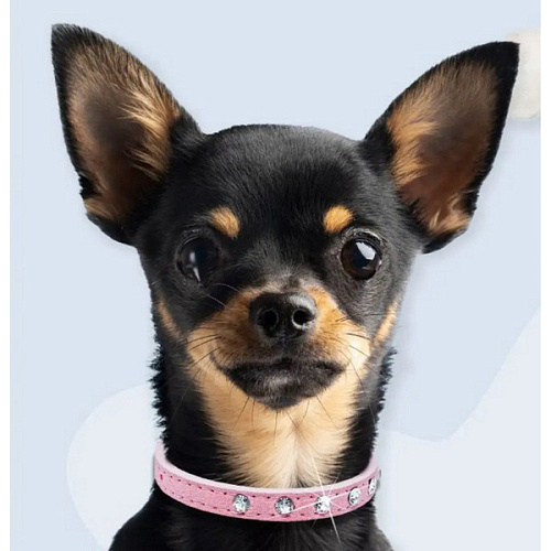 Ошейник для собак и кошек со стразами На стиле, цвет пудровый, 2см, размер S, 2830см (лейбл)_8