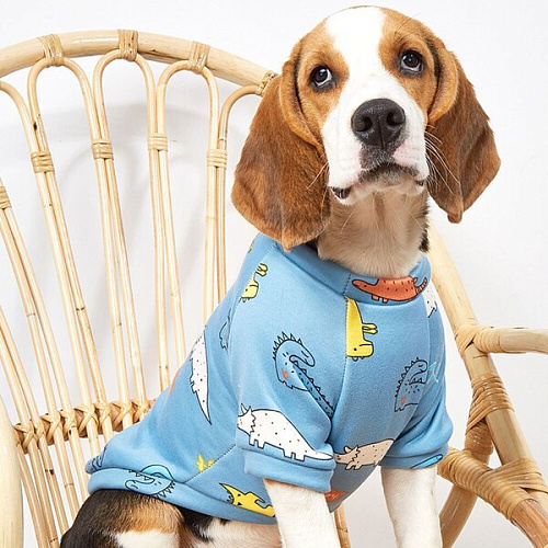 Кофта - толстовка для мелких пород собак BRO Style, принт динозаврики, р 2XL (на флисе)_7