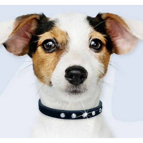 Ошейник для собак и кошек со стразами На стиле, цвет черный, 1см, размер XS, 2025см (лейбл)_8